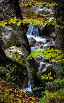 Mountain small river in the forest with rapids and waterfalls. A forest creek.