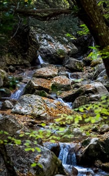 Mountain small river in the forest with rapids and waterfalls. A forest creek.