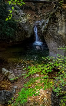 Mountain small river in the forest with rapids and waterfalls. A forest creek.