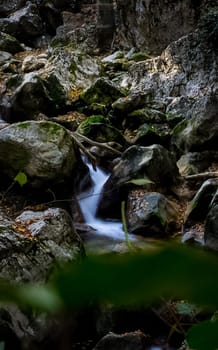 Mountain small river in the forest with rapids and waterfalls. A forest creek.