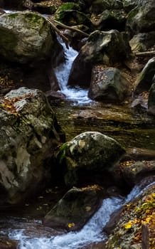 Mountain small river in the forest with rapids and waterfalls. A forest creek.