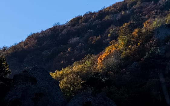 Mountains and forests of Crimea. coniferous and deciduous trees on the hills of the mountains and rocks
