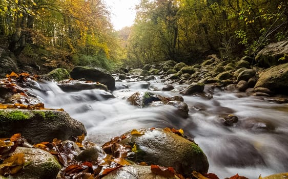 Mountain small river in the forest with rapids and waterfalls. A forest creek.