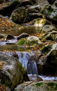 Mountain small river in the forest with rapids and waterfalls. A forest creek.