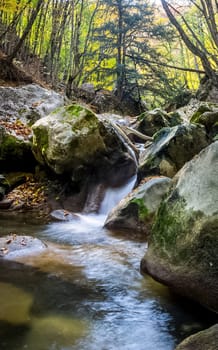 Mountain small river in the forest with rapids and waterfalls. A forest creek.