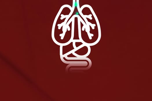 Lungs infected with coronavirus. Illustration of a person's lungs.