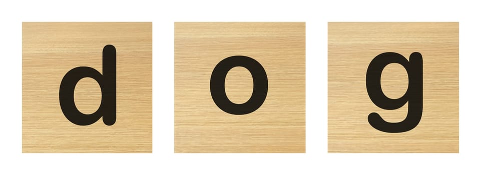 A dog word with wood blocks on white
