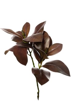 This arrangement features a collection of realistic artificial plants made of silicone and latex, providing a stylish, low-maintenance option for enhancing home interiors.