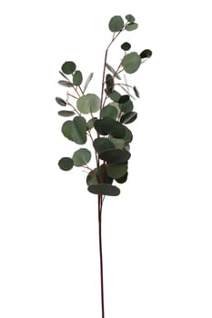 This artificial plant, made from silicone and latex, showcases lush green leaves on a slender stem. Ideal for brightening indoor spaces, it offers a fresh, natural look without maintenance.
