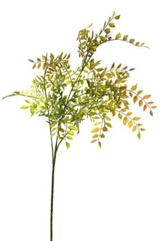 This detailed artificial plant features vibrant green and yellow leaves crafted from silicone and latex. Perfect for adding a touch of nature to any indoor space without maintenance.