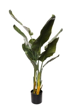 Silicone and latex plant features vibrant green leaves and sturdy stems, enhancing indoor spaces with a touch of nature. Ideal for home or office decor settings.