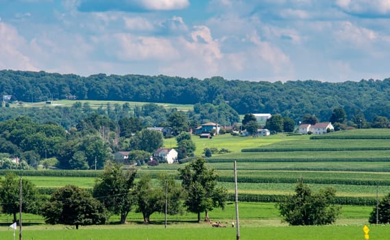 Expansive green fields stretch across the landscape, dotted with quaint homes and surrounded by trees. The clear blue sky enhances the serene atmosphere of this rural setting.