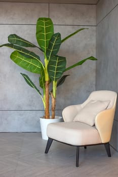 A white leather armchair, standing in the corner of a room with gray walls, next to a pot with a palm tree