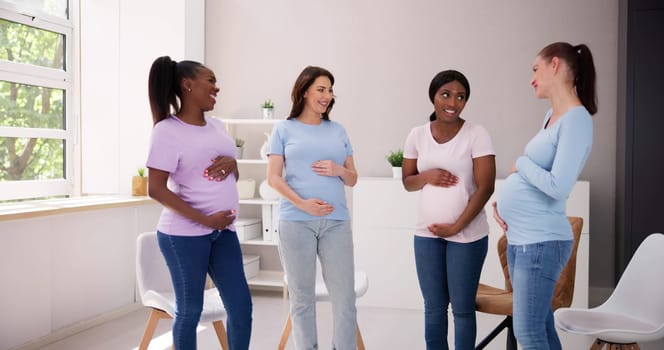Pregnant Group Discussion. Women Friends Meeting. Pregnancy Lifestyle