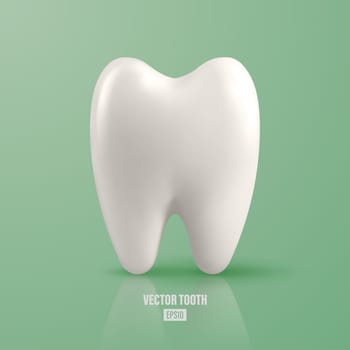 Vector 3d Realistic Tooth. Dental Inspection Banner, Plackard. Tooth Icon Closeup on Green Background. Medical, Dentist Design Template. Dental Health Concept.