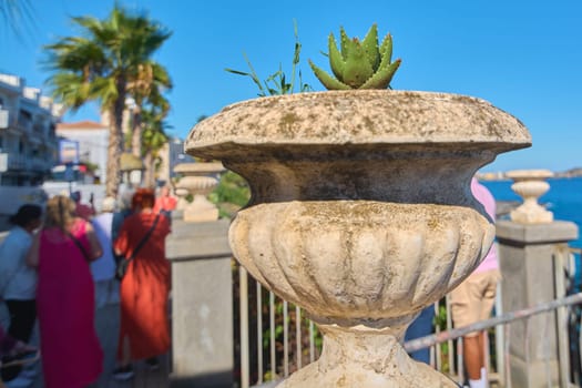 Outdoor stone pot with succulent and moss, located near the sea with other planters and a person in the background. Clear blue sky. Concept: coastal decor