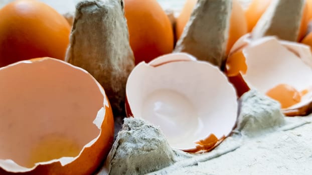 eggshell on a tray in my kitchen close-up.