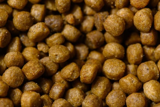 Close-up of small, round pet food granules glowing warmly, showcasing their rich texture and color.