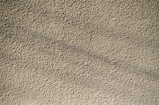 A warm light casts delicate shadows on a rough wall, revealing its texture and the beauty of simplicity.