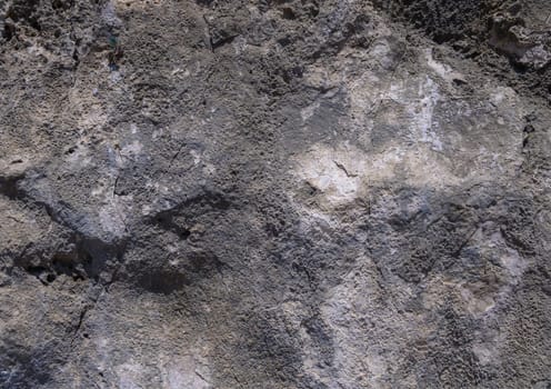 Sunlight illuminates the rough surface of an ancient rock formation, revealing intricate textures and geological layers.