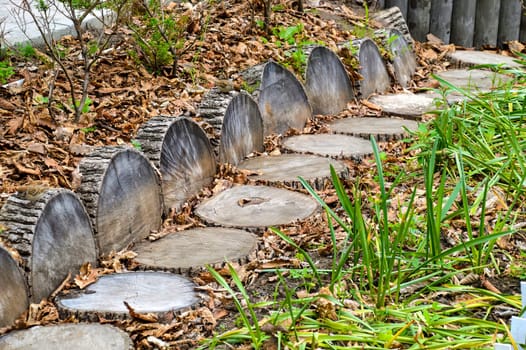 Creative design of wooden walkway made from a tree trunk cut into circles. Idea for decorating a garden or yard. Nearby autumn leaves and nesting sparrow