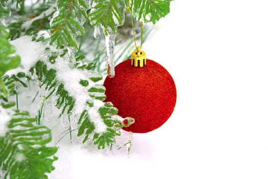 Red shiny Christmas toy ball hanging on a fir branch in the snow. Celebration