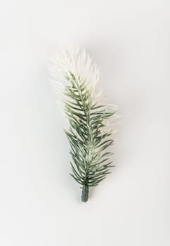 Fake fir tree branch for decorating of bouquets and home.