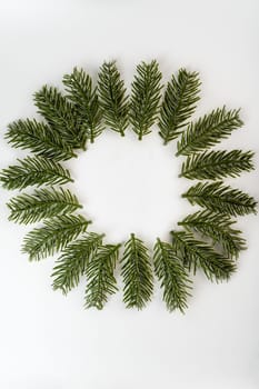 Fake fir tree branch for decorating of bouquets and home.
