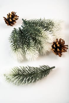 Fake fir tree branch for decorating of bouquets and home.