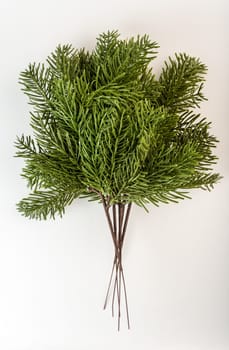 Fake fir tree branch for decorating of bouquets and home.