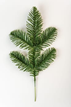 Fake fir tree branch for decorating of bouquets and home.