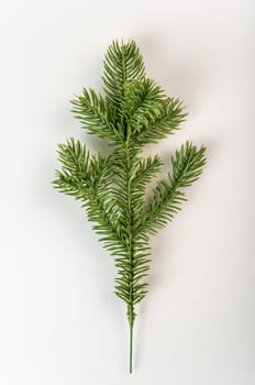 Fake fir tree branch for decorating of bouquets and home.