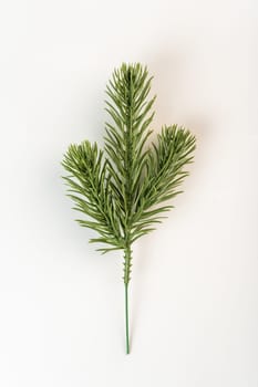 Fake fir tree branch for decorating of bouquets and home.