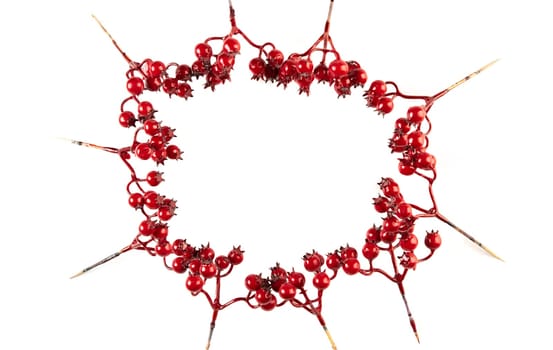 Artificial berries on a wire for needlework and decoration of gifts, wreaths on white background