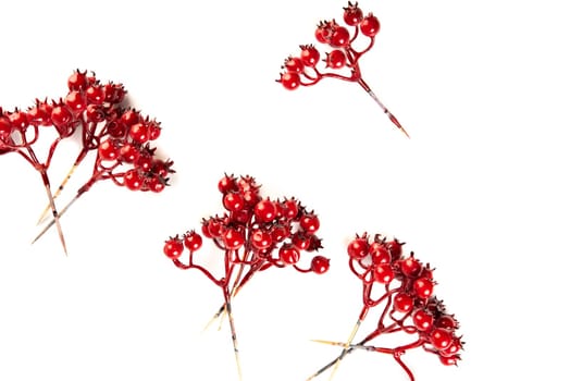 Artificial berries on a wire for needlework and decoration of gifts, wreaths on white background