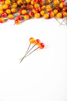 Artificial berries on a wire for needlework and decoration of gifts, wreaths on white background