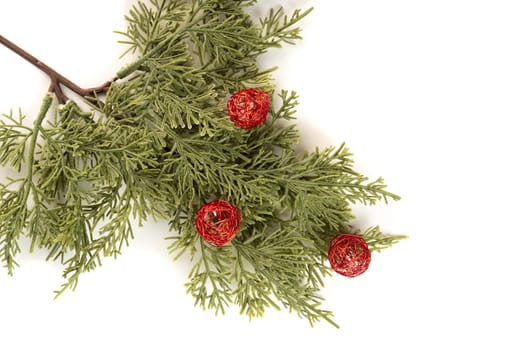 Fake fir tree branch for decorating of bouquets and home.