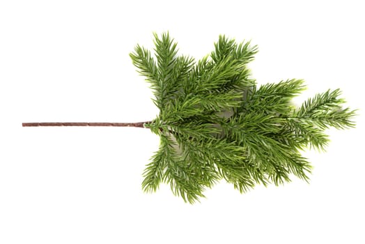 Fake fir tree branch for decorating of bouquets and home.