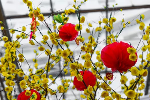 Red lanterns hanging in Vietnam for Tet Lunar New YearRed lanterns hanging in Vietnam for Tet Lunar New Year