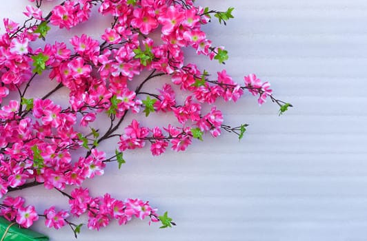 Pink flowers decoration for Tet Lunar New Year