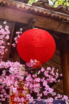 Red lanterns hanging on artificial sakura tree in Vietnam for Tet Lunar New Year