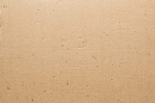 Paper texture cardboard background. Smooth cardboard surface