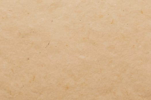 Paper texture cardboard background. Smooth cardboard surface
