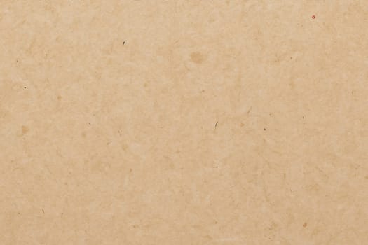 Paper texture cardboard background. Smooth cardboard surface