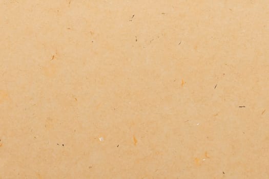 Paper texture cardboard background. Smooth cardboard surface
