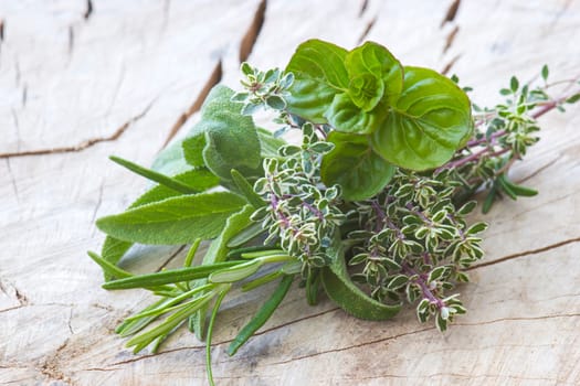 Freshly harvested herbs on wooden background