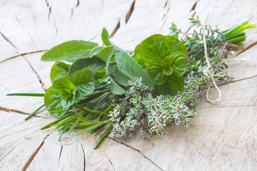 Freshly harvested herbs on wooden background