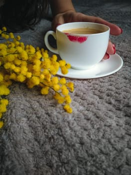 A cup of coffee with a red lipstick imprint on a white mug. A gray bed and a spring yellow mimosa. March 8 morning, women's day, congratulations, gifts, special day