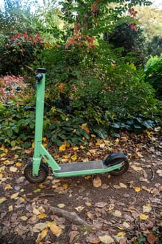 scooter, Eco city transport . Autumn season background. Active lifestyle. Electric scooter in autumn park. Electric transport. Urban transport.