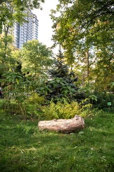 In the park there is a bench in a rustic style made of wood. There are tall green trees around. A high-rise modern building can be seen through the trees.. A tree in a grassy area. High quality photo